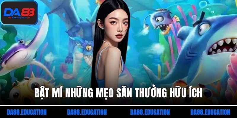 Bật mí những mẹo săn thưởng hữu ích